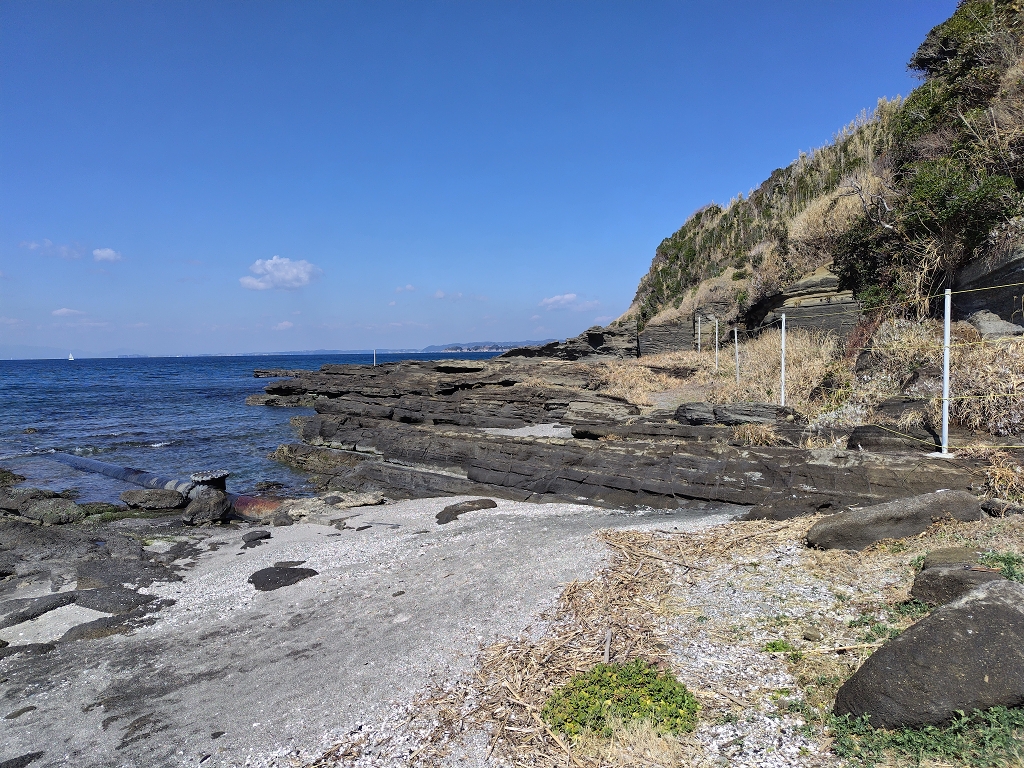 油壺 三崎層 初声層