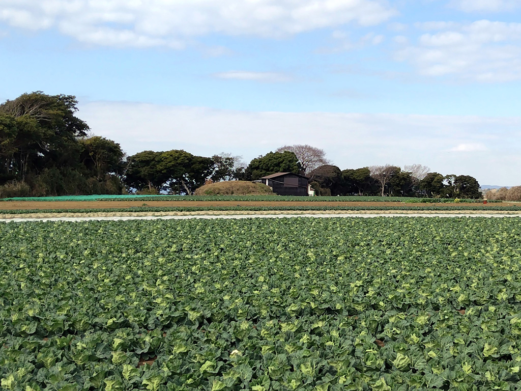 光照寺裏古墳 丸山塚