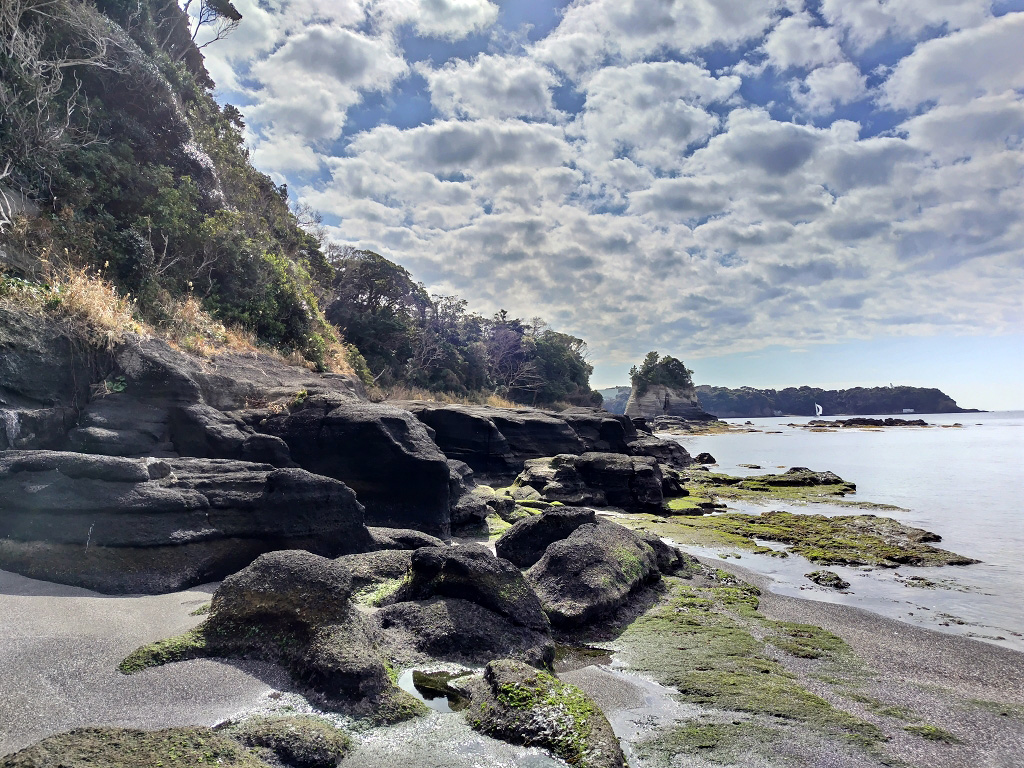 海老ヵ浜 初声層 スコリア