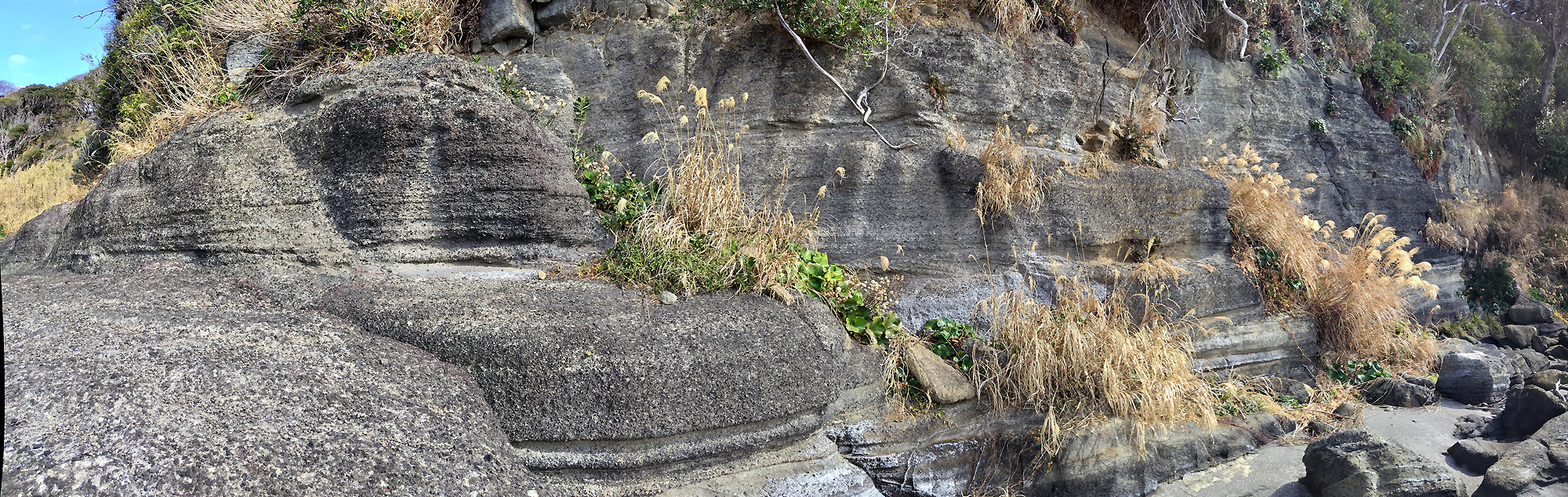 海老ヵ浜 初声層 スコリア 平行葉理