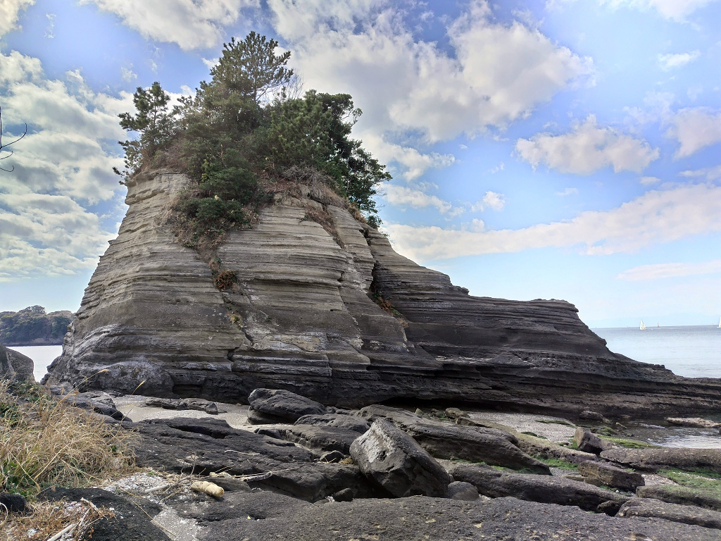 海老ヵ浜 初声層 海食柱