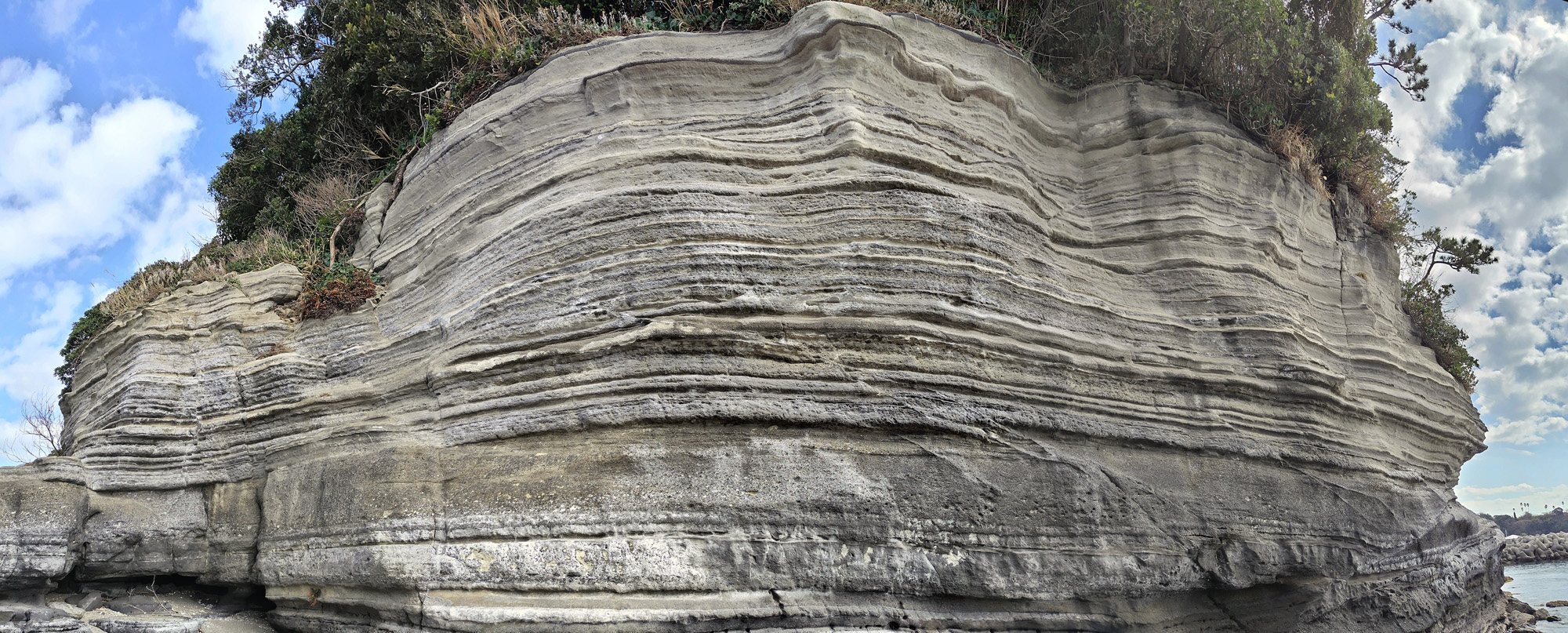 海老ヵ浜 初声層 インジェクタイト シル