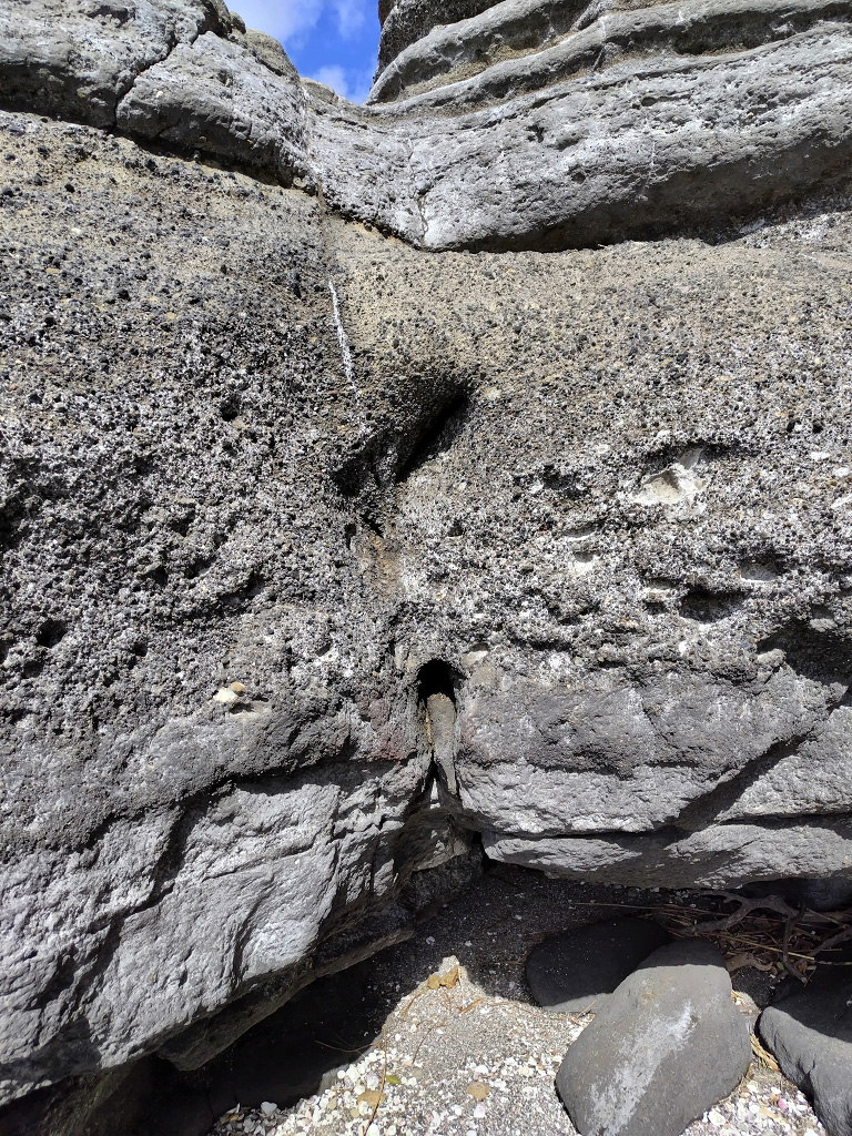 海老ヵ浜 初声層 インジェクタイト ダイク