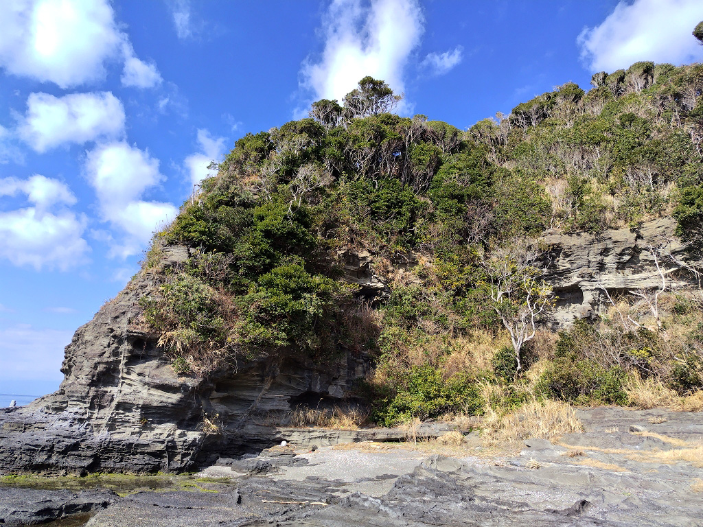 海老ヵ浜 初声層 斜交葉理