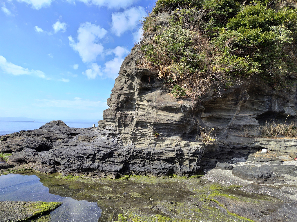 海老ヵ浜 初声層 岩脈 クラック