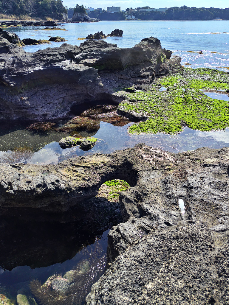 海老ヵ浜 ポットホール