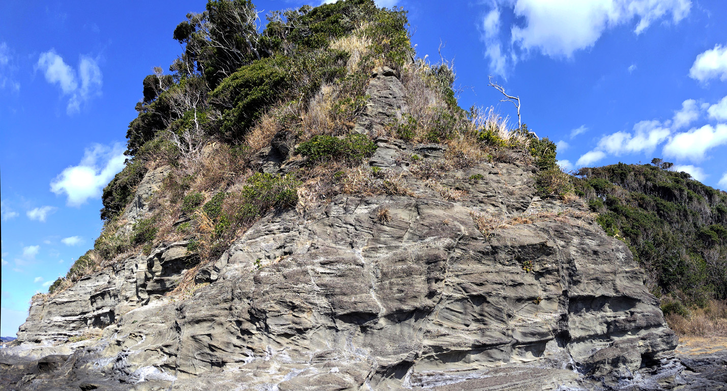 海老ヵ浜 初声層 斜交葉理 岩脈