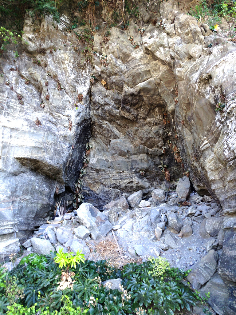 三戸浜 海老ヵ浜 初声層 共役断層