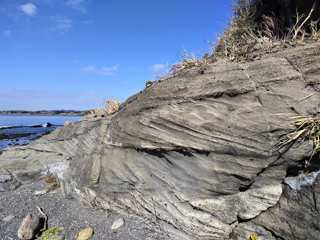 三戸浜 海老ヵ浜 初声層 トラフ型斜交葉理 トラフ型斜交層理