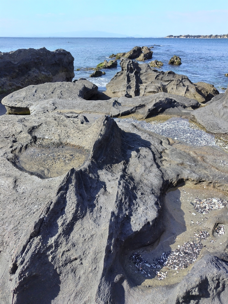 初声漁港 岩礁列 岩脈