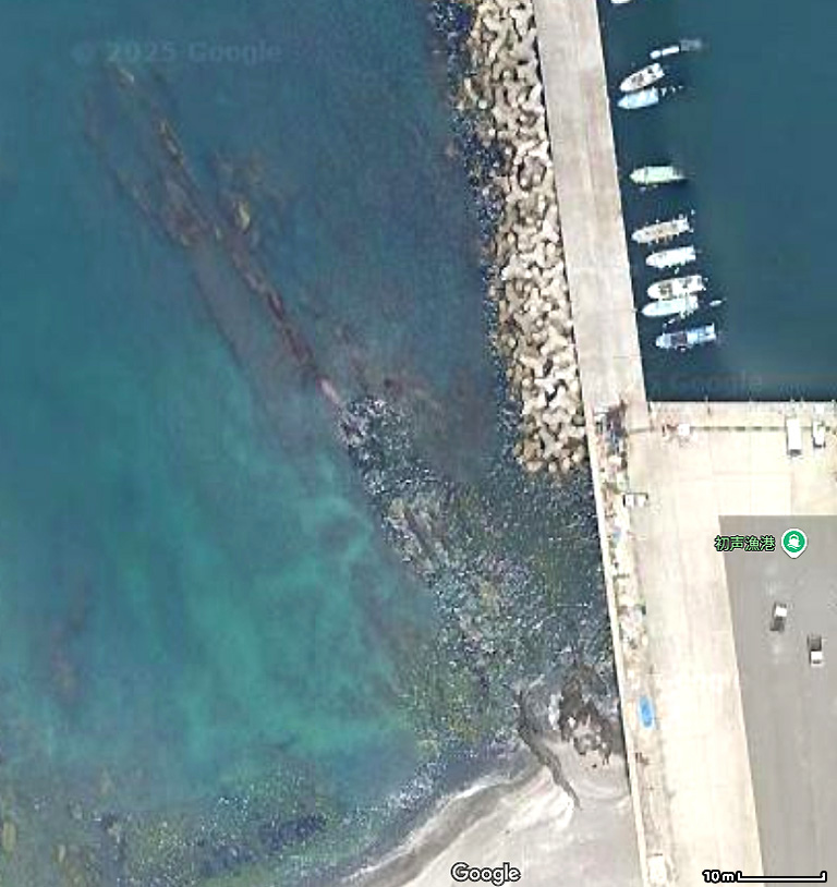 初声漁港 断層 岩礁列