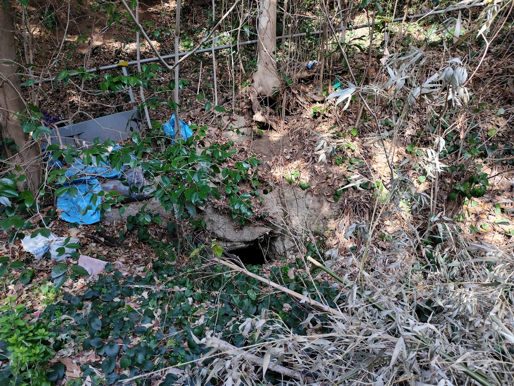 三戸 上諏訪社 古墳時代 横穴墓